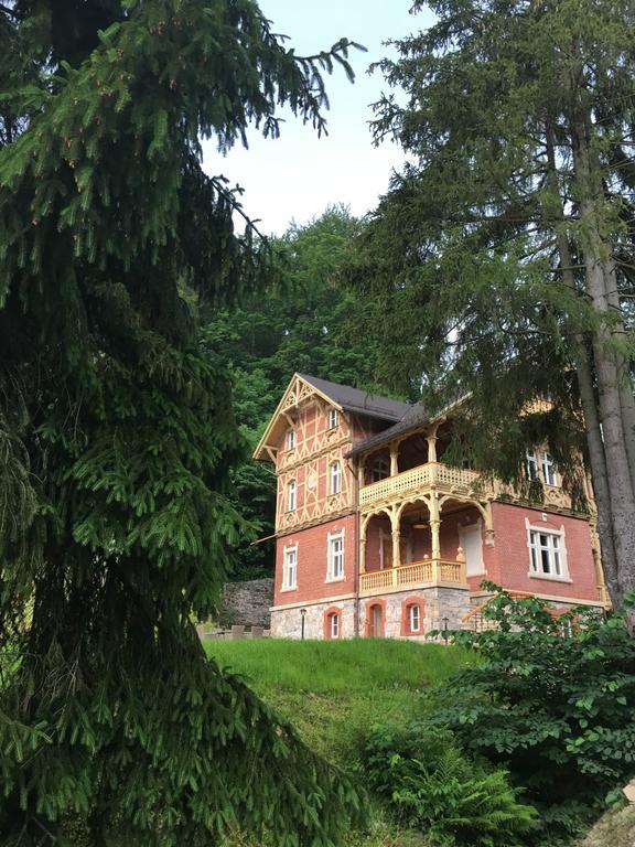 Willa Trebla Wölfelsgrund Exterior foto