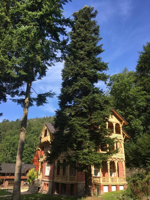 Willa Trebla Wölfelsgrund Exterior foto