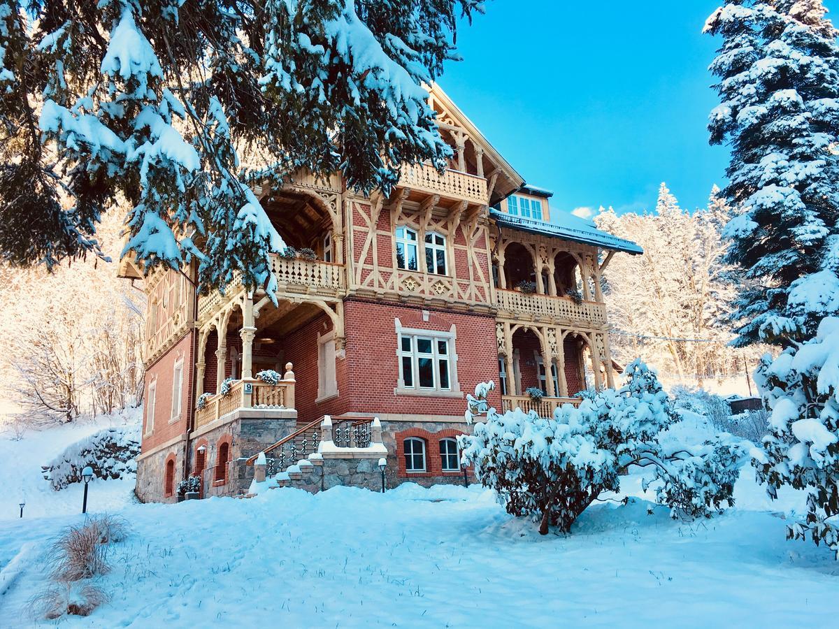 Willa Trebla Wölfelsgrund Exterior foto